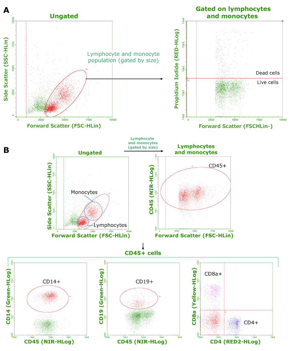 Characterization of cryopreserved PBMCs Characterization of cryopreserved PBMCs.