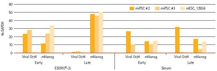 Nanog and Viral Oct4 expression in iPSCs