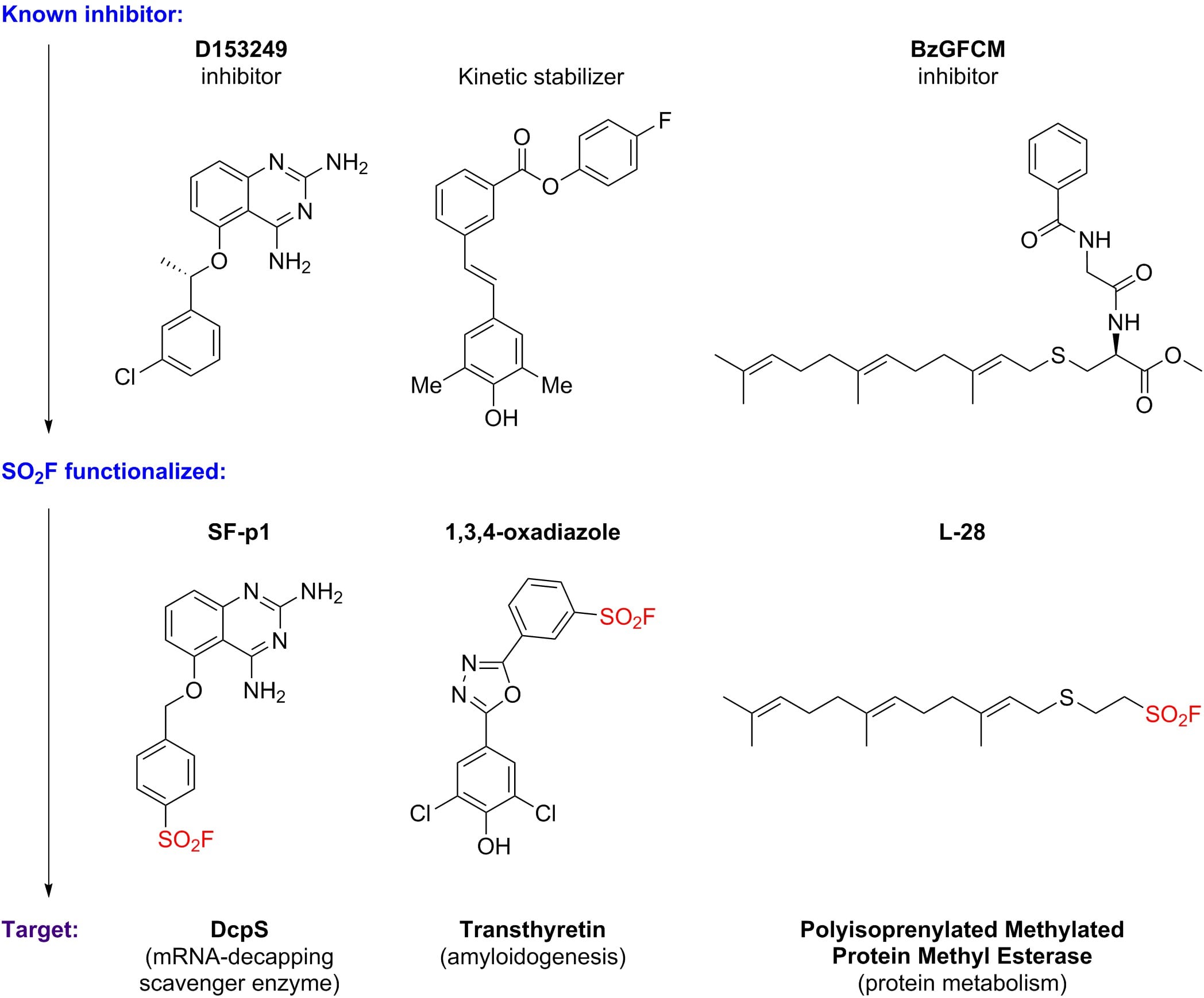 chem bio molecules chem bio molecules