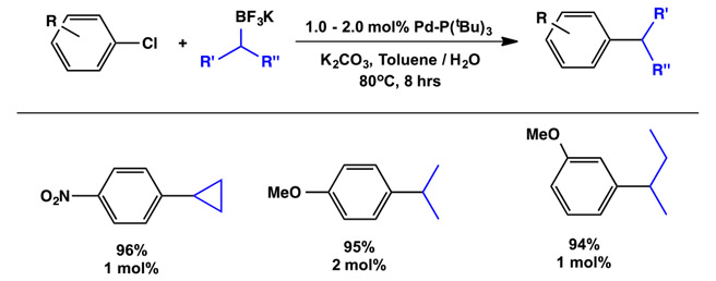 1-tBu-Indenyl Supported Palladium Precatalysts for Cross-Coupling Alkyl Trifluoroboronate Salts in Suzuki-Miyaura Reactions using Pd(1-tBu-Indenyl)(P{tBu}3)(Cl)