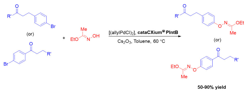 Figure 9 Reaction scheme showing palladium-catalyzed O-arylation of bromoaryl ketones with an oxime reagent to form aryl oxime ethers in 50–90% yield.