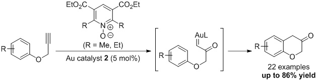 Cationic Gold(I) Complexes Based on Bulky Phosphine Ligands: New Opportunity for Efficient Gold Catalysis