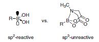 Comparison of sp2 and sp3-hybridized boron species Comparison of sp2 and sp3-hybridized boron species