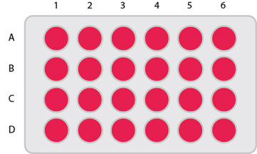 KitAlysis™-CN 24 Well Plate KitAlysis™ C-N Well Plate