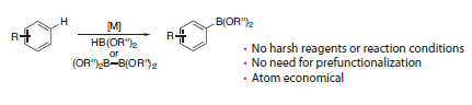 Metal-catalyzed direct C–H borylation