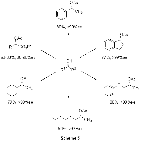 Candida antarcticalipase Candida antarcticalipase