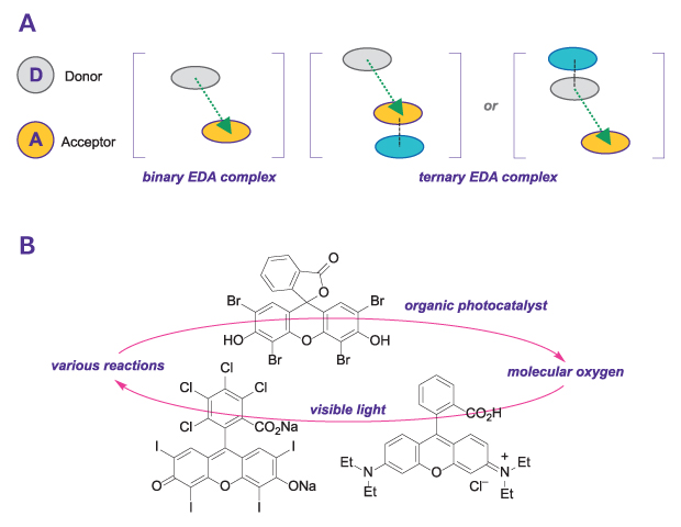 Diagram shows EDA complex types (binary and ternary) and a central molecule linked to visible-light-driven reactions involving O₂ and an organic photocatalyst.