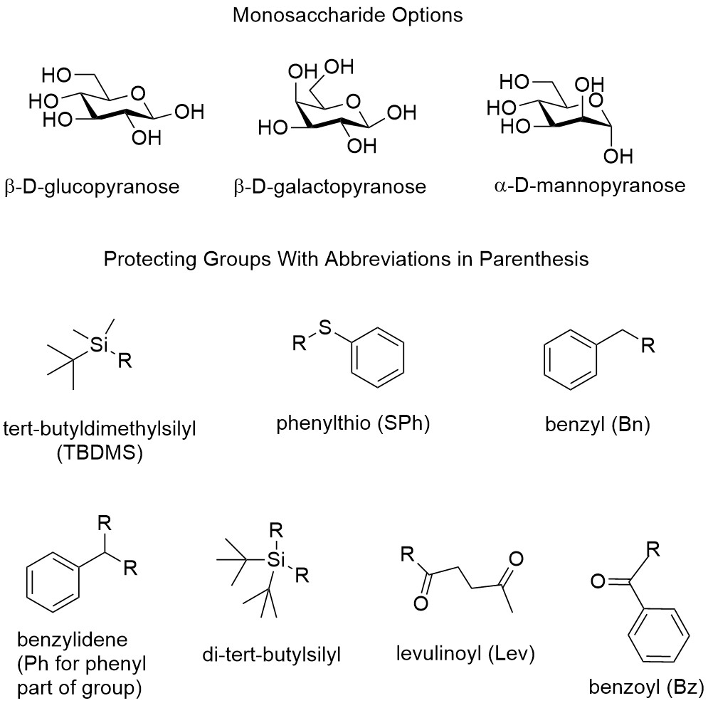 Protected Glycoconjugate Analogs