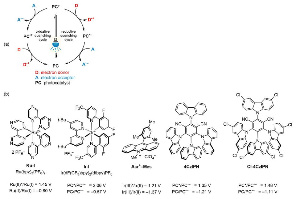 Top is the cycle representing the Single-Electron Transfer (SET) Mechanism of  photoredox catalysis and below are the chemicals structures of popular oxidizer photocatalysts (from left to right), Ru(bpz)3(PF6)2, Ir(dF(CF3)ppy)2(dtbpy)PF6, Fukuzumi’s acridinium salt (Acr+–Mes), 4CzIPN, and Cl-4CzIPN