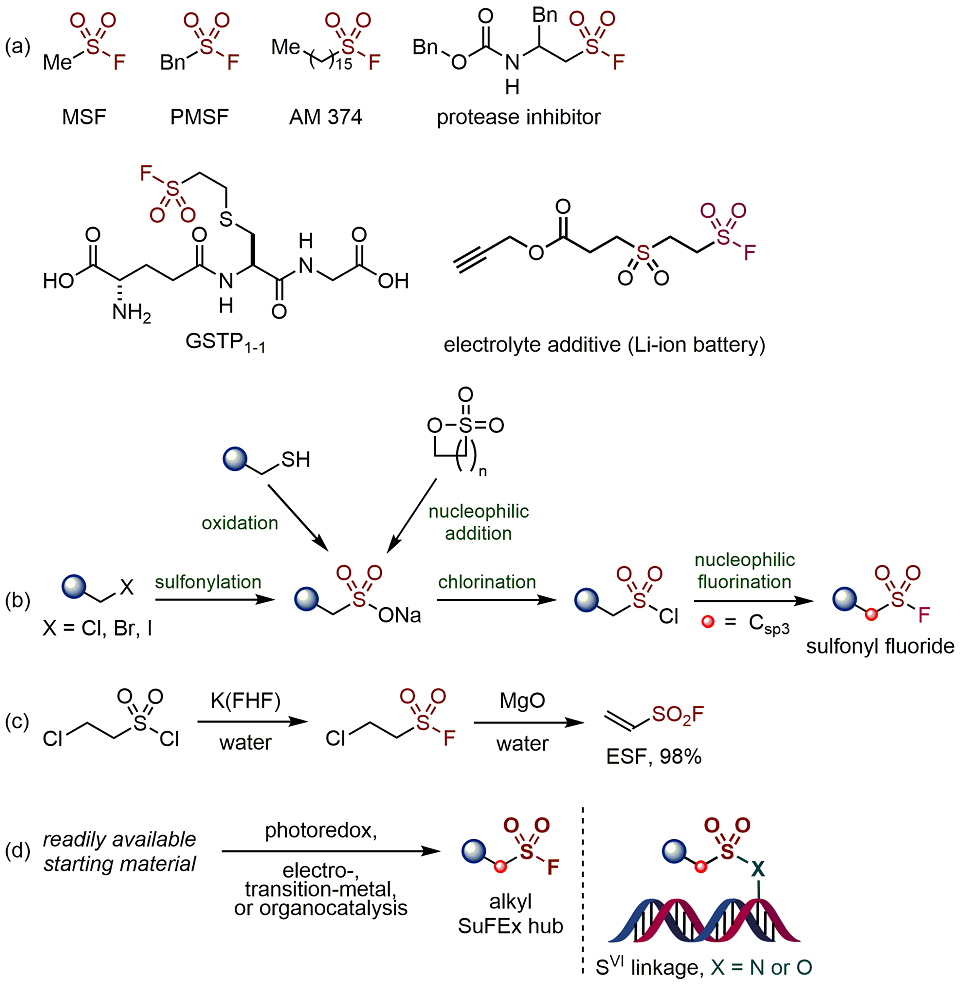 Chemical Structures of Six Representative Biologically Active Alkylsulfonyl Fluorides, Conventional Methods Used for the Synthesis of Alkylsulfonyl Fluorides, Sharpless’s Kilogram- Scale Synthesis of ESF, and Catalytic Synthetic Methods