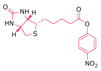 Chemical structure of a biotinylated linker functionalized with a nitrophenyl ester group.