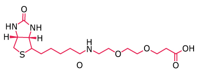 Chemical structure of a biotin‑based PEG linker with a terminal carboxyl group for bioconjugation.