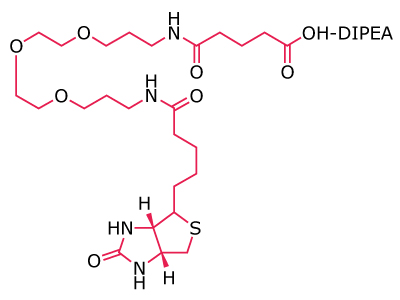 Chemical structure of a biotin‑PEG linker with terminal carboxyl functionality shown as a DIPEA salt.