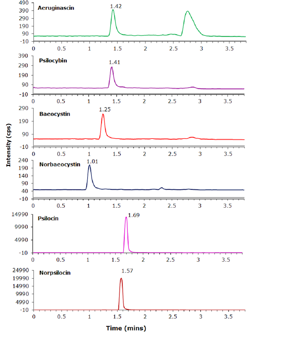 Psychedelic mushroom constituents chromatogram Six chromatograms displaying the absorbance of different psychedelic mushroom constituents over time in minutes. Each chromatogram corresponds to a specific compound, with a distinct color representing each. The first chromatogram, in green, represents Aeruginascin, showing a primary peak at 1.42 minutes with a smaller peak near 3 minutes. The second chromatogram, in purple, represents Psilocybin, with a prominent peak at 1.41 minutes. The third chromatogram, in red, corresponds to Baeocystin, showing a peak at 1.25 minutes. The fourth chromatogram, in dark blue, represents Norbaeocystin, with a peak at 1.01 minutes. The fifth chromatogram, in bright pink, displays Psilocin, featuring a sharp peak at 1.69 minutes. The final chromatogram, in brown, corresponds to Norpsilocin, with a distinct peak at 1.57 minutes. The x-axis of each chromatogram represents time in minutes, ranging from 0 to approximately 3.5 minutes, while the y-axis represents absorbance in milli-absorbance units (mAU), with varying scales among the chromatograms. The peaks in each chromatogram indicate the presence and retention time of the respective compounds.