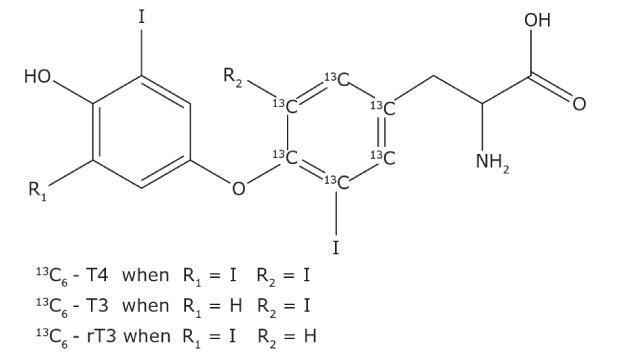 Structure of three internal standards Chemical structures of three internal standards, each with a 13C6 substitution on the internal phenyl ring. These structures consist of two aromatic rings connected by an oxygen atom. The left ring includes variable substituents labeled as R1 and R2, and an iodine atom at the third position. The right ring, containing the 13C6 substitution, has an iodine atom at the fourth position, a side chain with an amino group (NH2), and a carboxyl group (COOH). The internal standards are identified as 13C6-T4 when R1 = I and R2 = I, 13C6-T3 when R1 = H and R2 = I, and 13C6-rT3 when R1 = I and R2 = H.