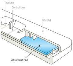 Figure 4 shows absorbent pads, when used, are placed at the distal end of the test strip