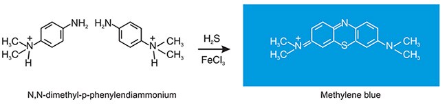 N,N-dimethyl-p-phenylendiammonium ion to yield methylene blue N,N-dimethyl-p-phenylendiammonium ion to yield methylene blue