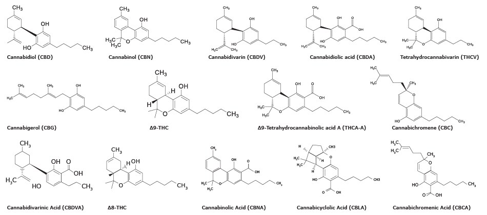 Chemical structures of fourteen cannabinoids used in the study to analyze cannabinoids in cannabis 