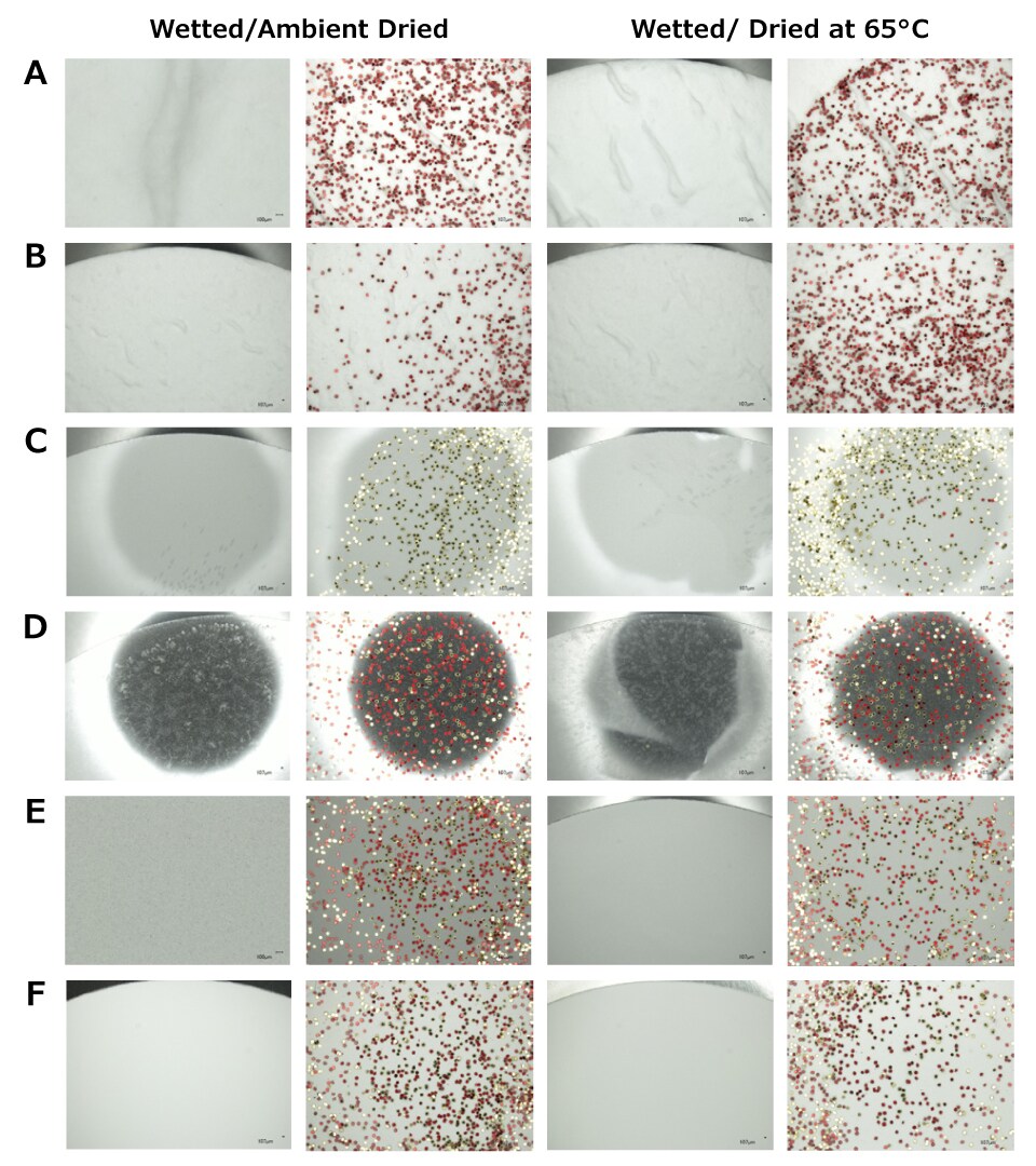 Comparison of Filters for Microplastics Analysis (20X visualization) Microscopic images of microplastics at 20X magnification on six different filter types