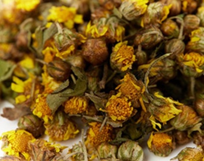 Chrysanthemum morifolium dried flowers Dried yellow and brown Chrysanthemum morifolium flowers used as a herbal medicine sample.