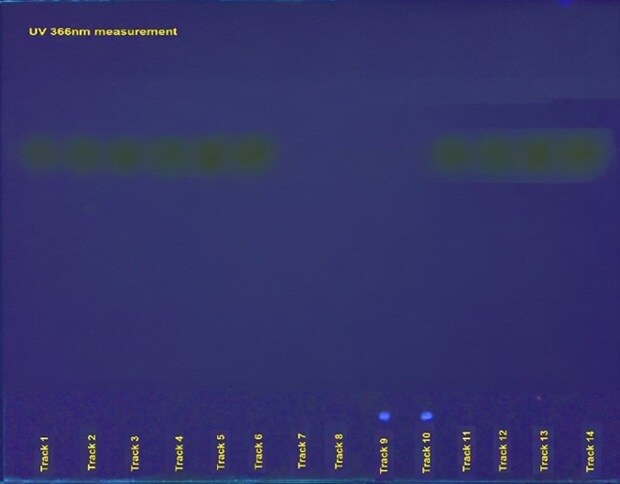 HPTLC plate viewed under UV light at 366 nm showing fluorescent spots in a blue background obtained for the identification of urea in milk