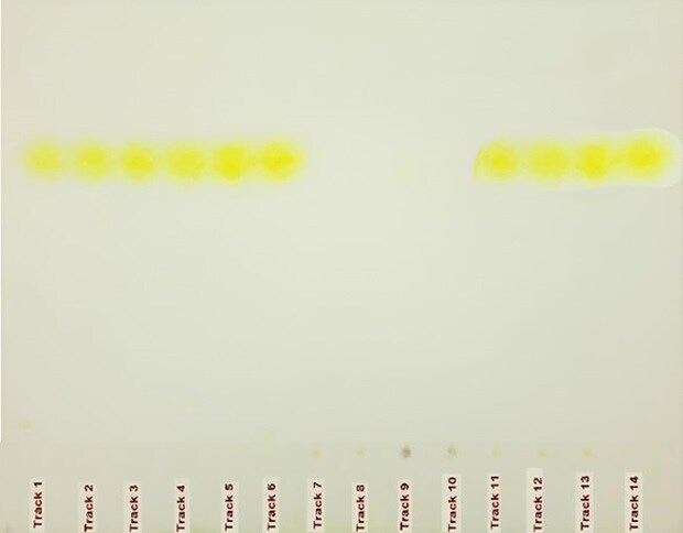 HPTLC plate viewed under visible light obtained for the identification of urea in milk with 14 tracks and yellow spots