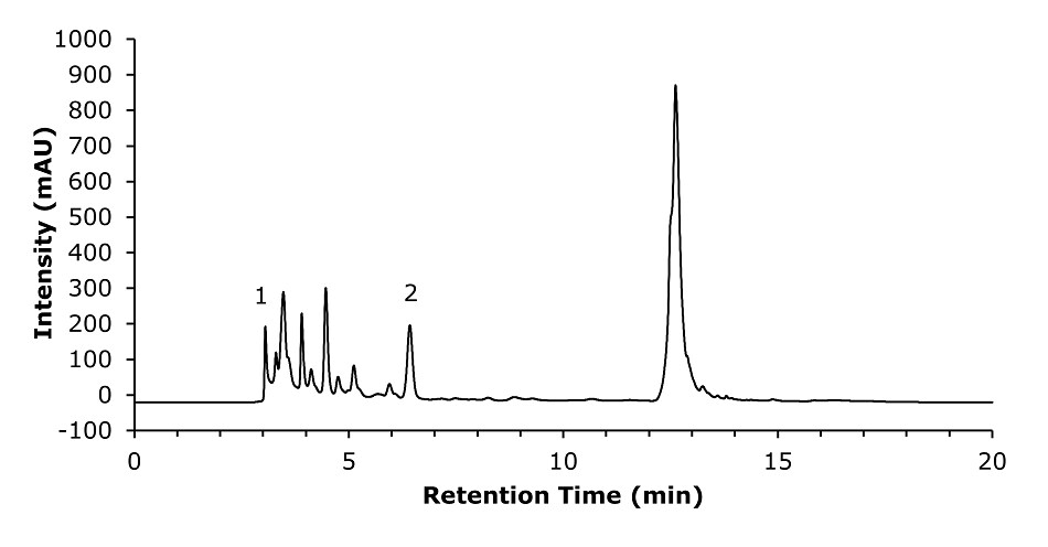 Chromatogram of spiked smoke beer sample for HMF analysis. A chromatogram graph representing the analysis of a spiked smoke beer sample containing 20 mg/L of HMF. The x-axis, labeled "Retention Time (min)," spans from 0 to 20 minutes, and the y-axis, labeled "Intensity (mAU)," ranges from -100 to 1000. A black line traces the chromatographic data, starting from the baseline and forming a small peak at 3.1 minutes, labeled "1," representing the void volume. A significantly larger peak, labeled "2," appears at 6.4 minutes, corresponding to the HMF. Additional smaller peaks are visible between these two labeled points, as well as fluctuations throughout the rest of the trace.