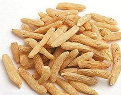 Ophiopogon japonicus dried tubers Dried, elongated tubers of Ophiopogon japonicus used as a herbal medicine sample.