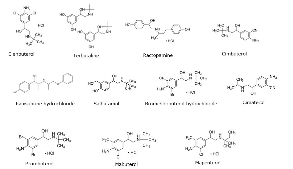 Chemical structures of β-receptor agonists in three rows. The first row shows the structures of clenbuterol, terbutaline, ractopamine, and cimbuterol from left right. The second row shows isoxsuprine hydrochloride, salbutamol, bromchlorbuterol hydrochloride, cimaterol, and brombuterol from left to right. The third row shows brombuterol, mabuterol and mapenterol from left to right.