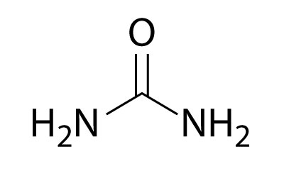 Chemical structure of urea with the carbonyl group at the center, flanked by amine group on both the sides.
