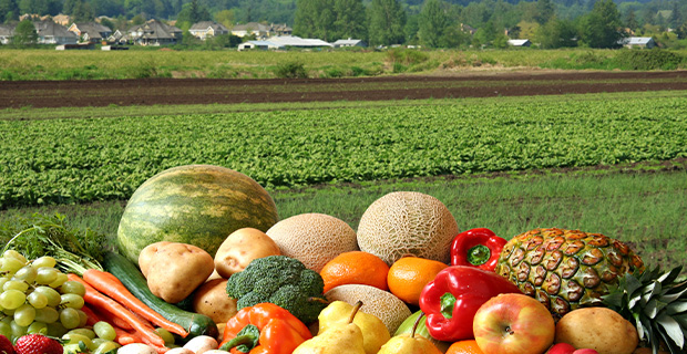 Pesticides and Residuals:  History and Food Safety 