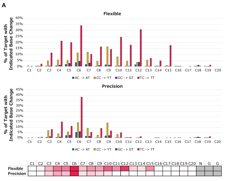 Editing Rate for PURedit<sup>®</sup> Cytosine Base Editors Bar charts showing editing rate for in vitro reactions to define editing windows and dinucleotide sequence contexts for Flexible (top graph) and Precision (bottom graph). Editing rates for positions in a CC context include the outcomes CT and TT (YT) which are the highest bars on the graphs. Flexible has activity from C3 – C15 while Precision has activity from C3 – C10. Below the plots is a heat map representation of editing rates for each editor, calculated using the editing rates for the TC dinucleotide. C6 is dark for both Flexible and Precision with C12 also being dark for Flexible. Similar to the bar graphs, Flexible has activity from C3 – C15 while Precision has activity from C3 – C10.