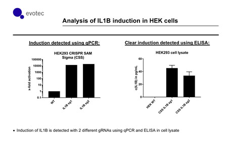 hek-cells-graph hek-cells-graph