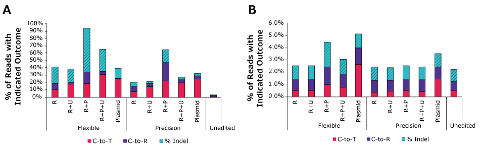 More Specific RNP Delivery With Base Editors Graphs showing RNP delivery using PURedit® Cas9 Cytosine Base Editor proteins. They show cells that just had RNP (R), co-transfected with UGI (R+U), co-transfected with PEXBUFF (R+P), or all three components delivered together (R+P+U) or via plasmid for both flexible and precision kits. Bar graph on left shows absolute editing rates of on-target effects with most above 40% and bar graph on right shows off-target effects with all less than 5%.