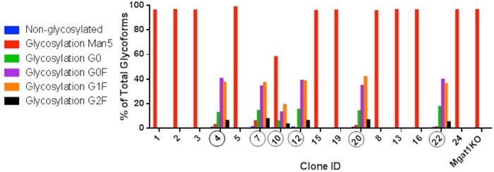 Single Cell Clones Single Cell Clones
