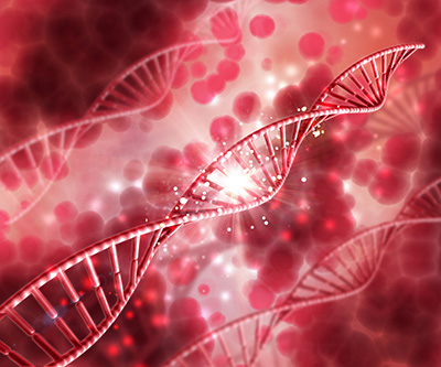 Pro K Blood DNA Extaction Computer generated graphic of several DNA double helices and red blood cells floating in a solution