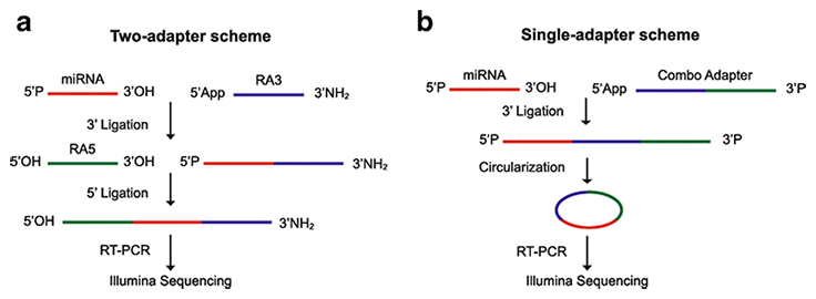 Comparison of two-adapter or single-adapter schemes Comparison of two-adapter or single-adapter schemes