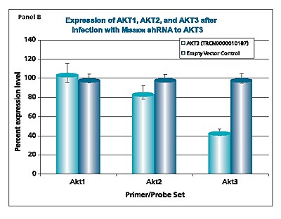 Mission shRNA to AKT3 Mission shRNA to AKT3