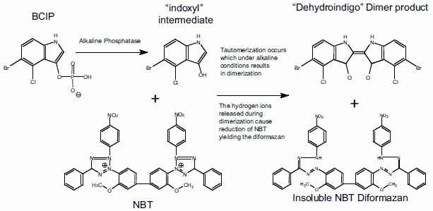 Detection methods structures Detection methods structures