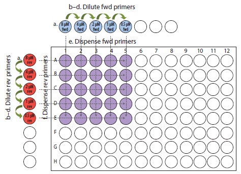 b–d-dilute-fwd-primers.jpg 引物优化示例