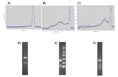 evaluation-of-melt-curves 解链曲线的评估