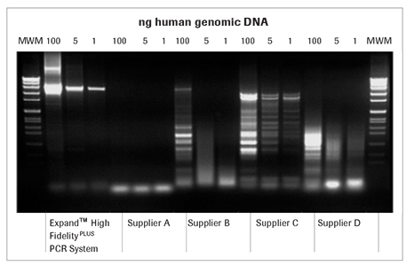 expand-high-fidelity-pcr-comparison expand-高-保真-pcr-比较