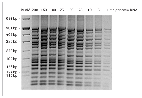 faststart-high-fidelity-pcr faststart-高-保真-pcr