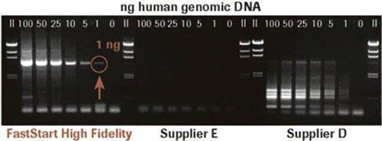 faststart 采用FastStart™高保真PCR系统扩增人基因组DNA