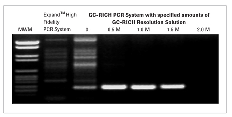 gc-rich-pcr-system-02 gc-rich-pcr-系统-02