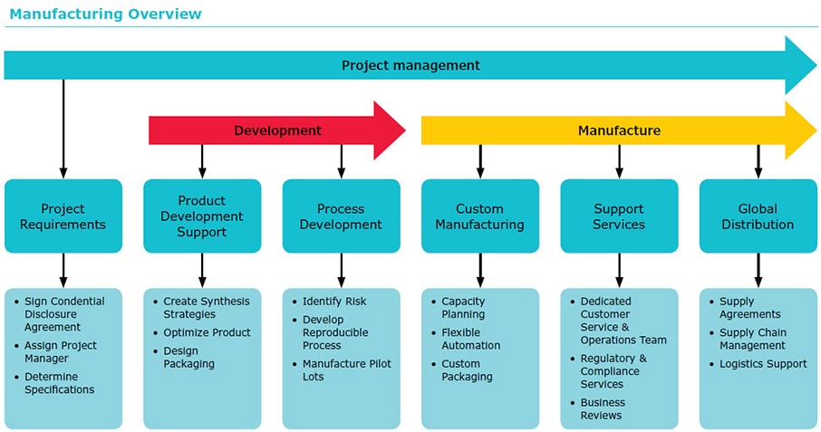 Custom Oligos for Commercial Use Manufacturing overview, that is broken into Project Management, Product Development Support & Process Development
