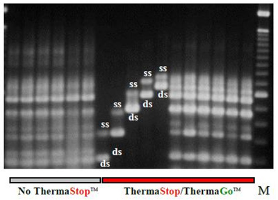 I Multiplexing Without Extensive Primer Optimization I Multiplexing Without Extensive Primer Optimization