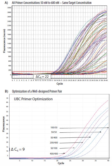 pcr-primers-concentration SYBR Green I染料测定的PCR引物浓度优化的结果