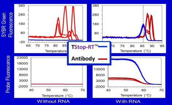ThermaStop™-RT添加剂在逆转录步骤具有活性。 ThermaStop™-RT添加剂在逆转录步骤具有活性。
