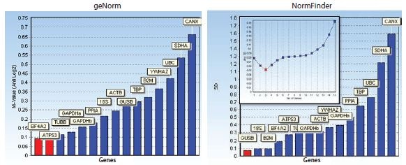 Bar diagrams showing stability measures